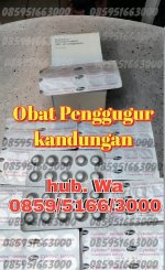 Obat Penggugur Kandungan.jpg