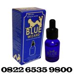 Blue Wizard.jpg Blue Wizard.jpg