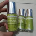 Chlorophyll 081391262346.jpeg Chlorophyll 081391262346.jpeg