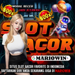 MARIOWIN Q5.png