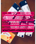 WSP_29032024_113354.png