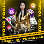 New Project - 2025-05-10T160255.170.png New Project - 2025-05-10T160255.170.png
