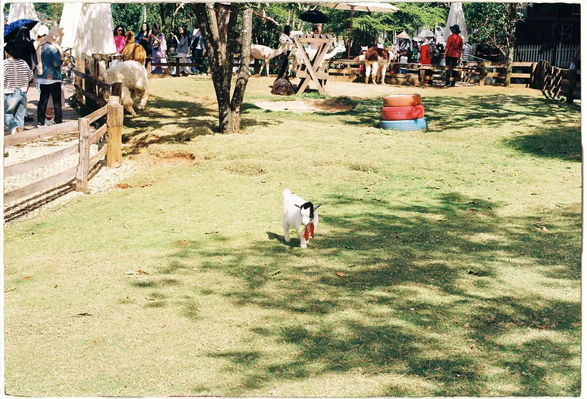 Batam Zoo Paradise